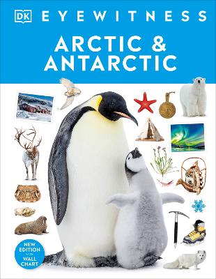 Arctic And Antarctic (Hardcover)