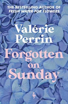 Forgotten On Sunday (Paperback)