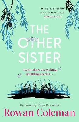 The Other Sister (Paperback)