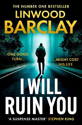I Will Ruin You (Paperback)