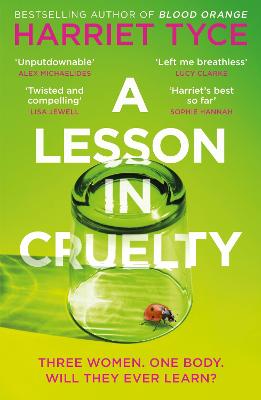 A Lesson In Cruelty (Paperback)