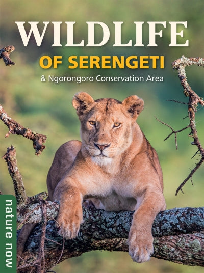 Wildlife of Serengeti & Ngorongoro Conservation Area (Paperback)