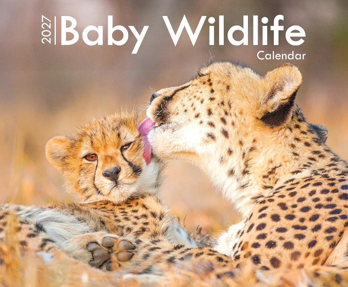 2027 Baby Wildlife Large Calendar