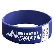 Wristbands: I Will Not Be Shaken