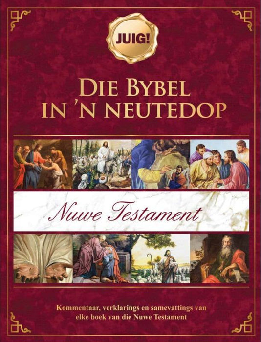Juig! Die Bybel In 'N Neutedop (Nuwe Testament)