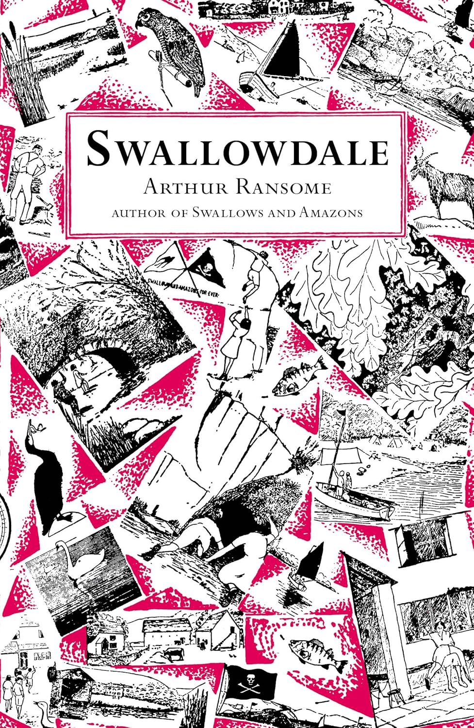 Swallowdale (Paperback)