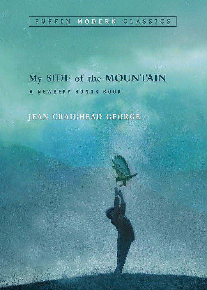 My Side of the Mountain (Paperback)