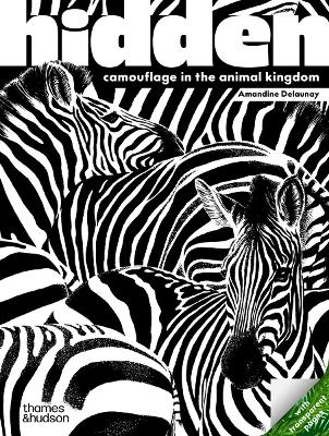 Hidden Camouflage in Animal Kingdom