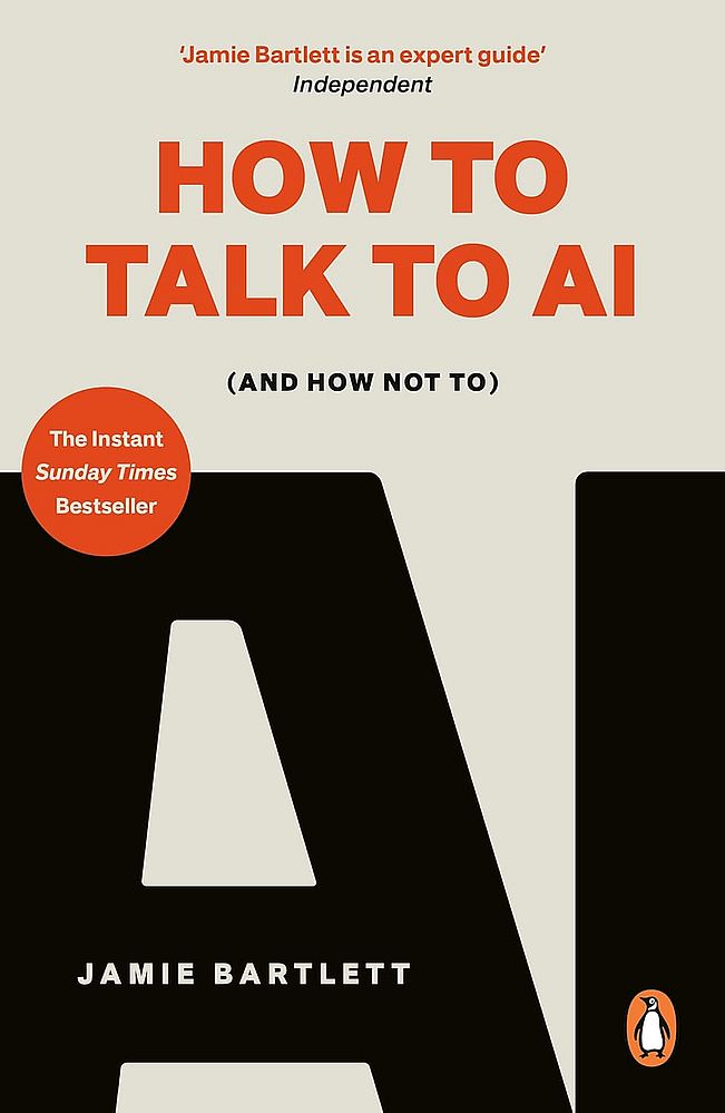 How to Talk to AI: And How Not To (Paperback)