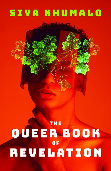 The Queer Book of Revelation (Paperback)