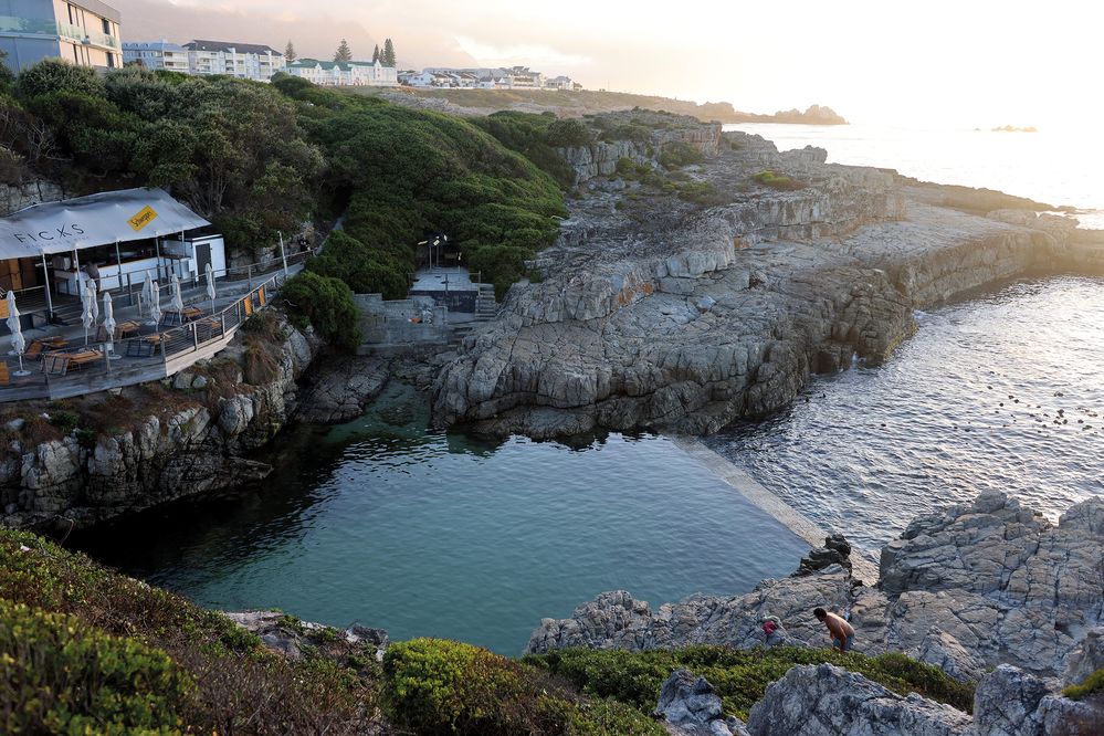 A Guide To Tidal Pools Of The Western Cape (Trade Paperback)