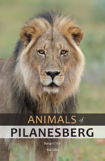 Animals of Pilanesberg (Paperback)
