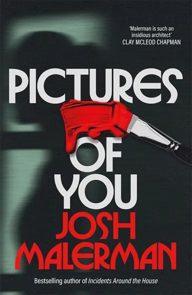 Pictures of You (Trade Paperback)