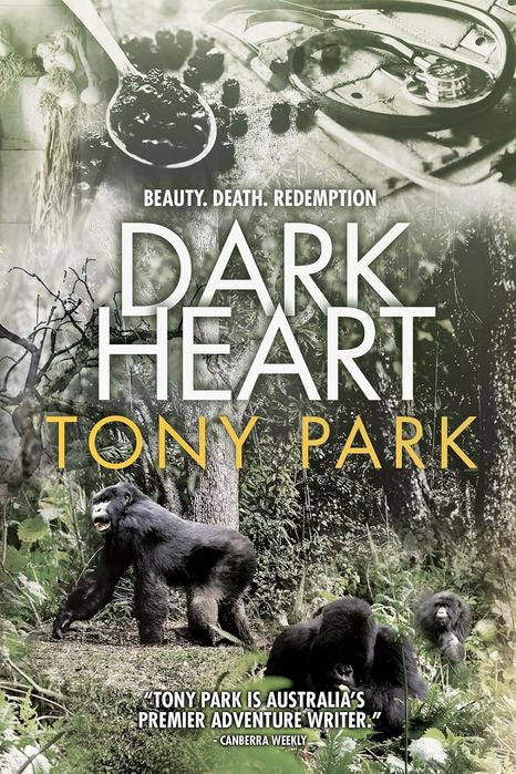 Dark Heart (Paperback)