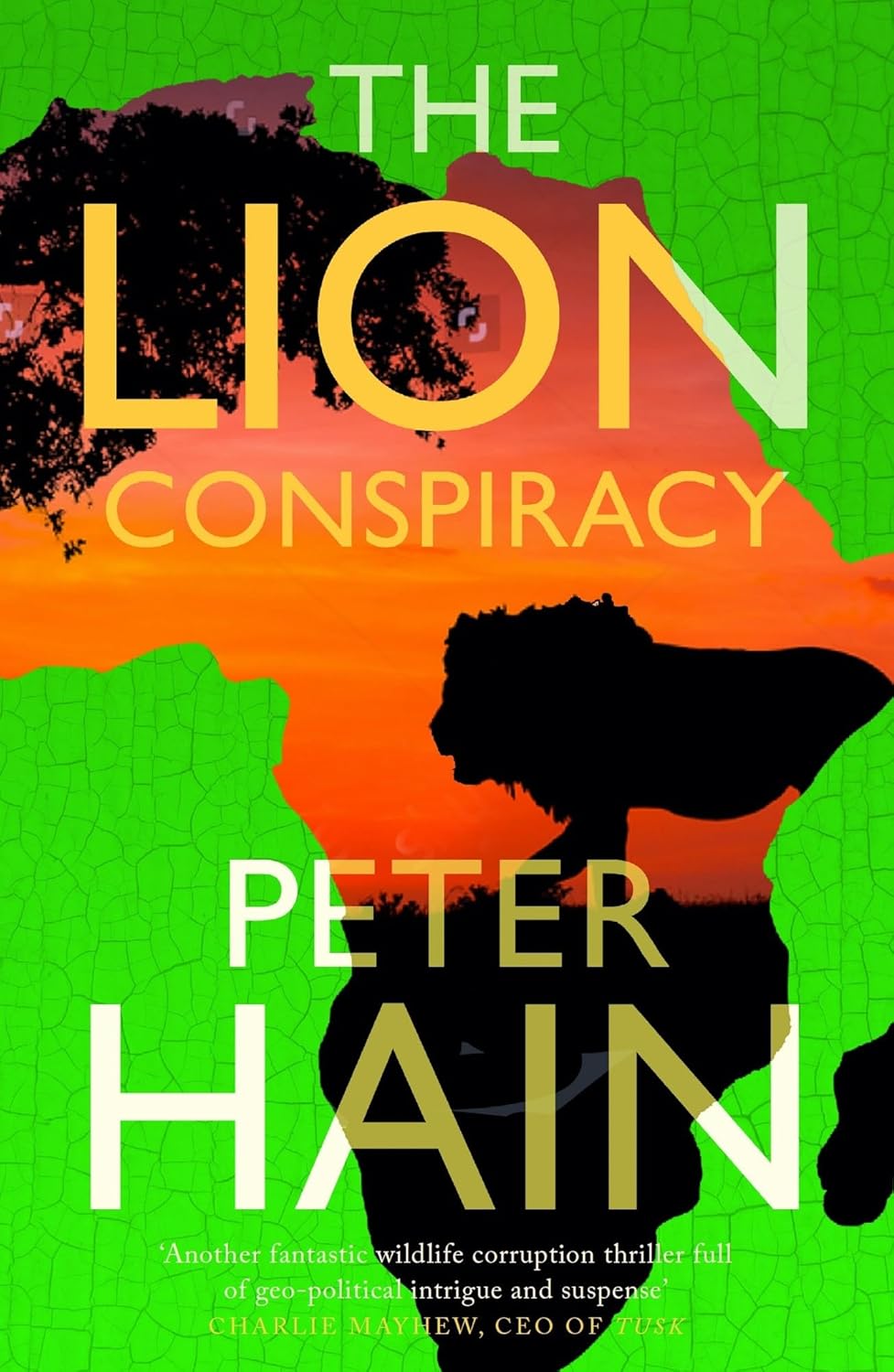 The Lion Conspiracy (Paperback)
