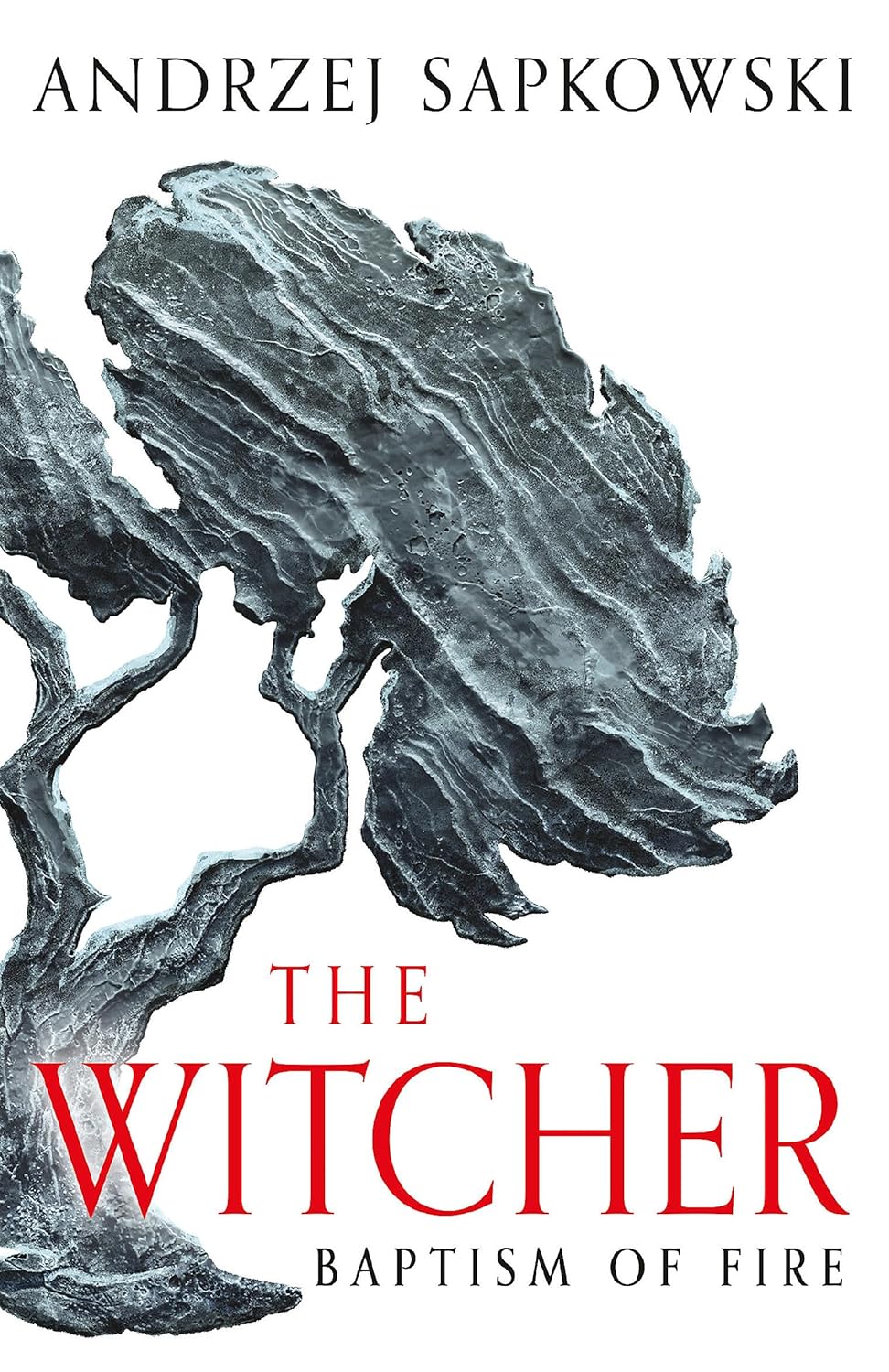 The Witcher 3 :Baptism of Fire (Paperback)