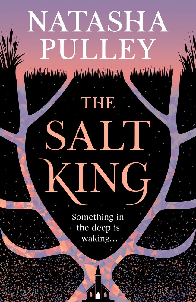 The Salt King (Trade Paperback)