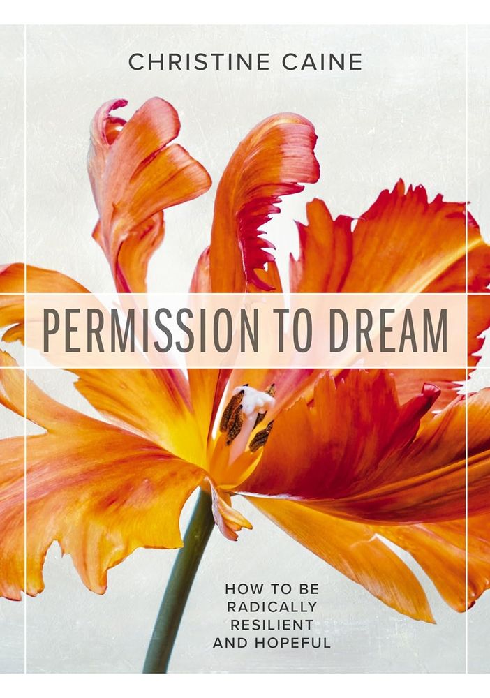 Permission to Dream: How to be Radically Resilient and Hopeful (Paperback)