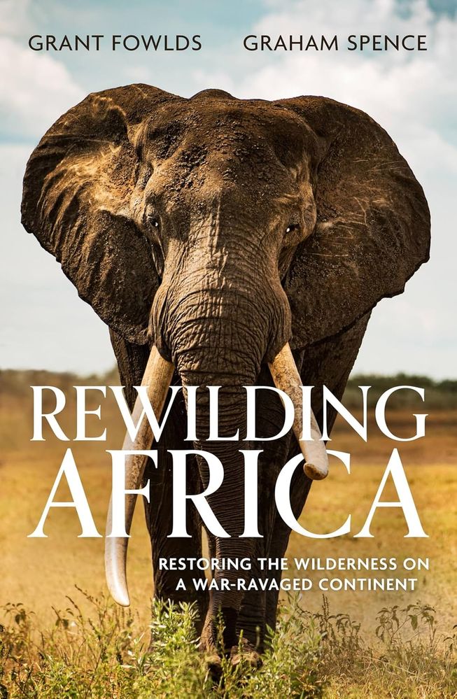 Rewilding Africa (Paperback)