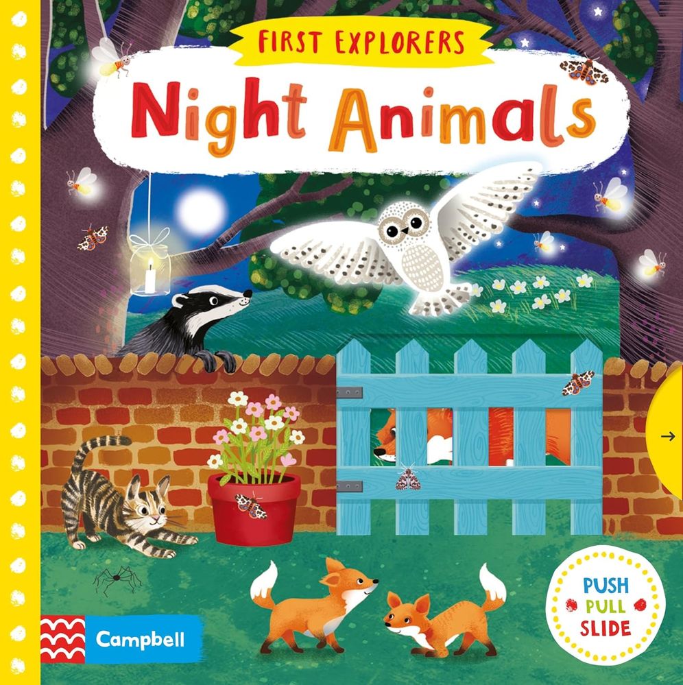 First Explorers: Night Animals (Board Book)