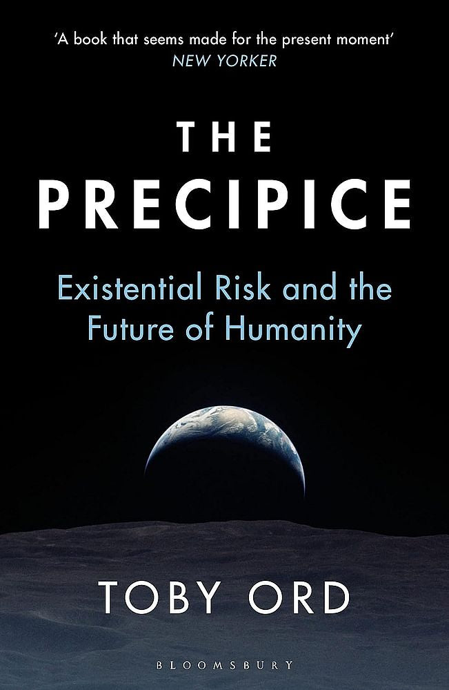 The Precipice (Paperback)