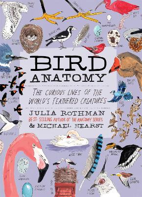 Bird Anatomy: The Curious Lives Of The World's Feathered Creatures (Trade Paperback)