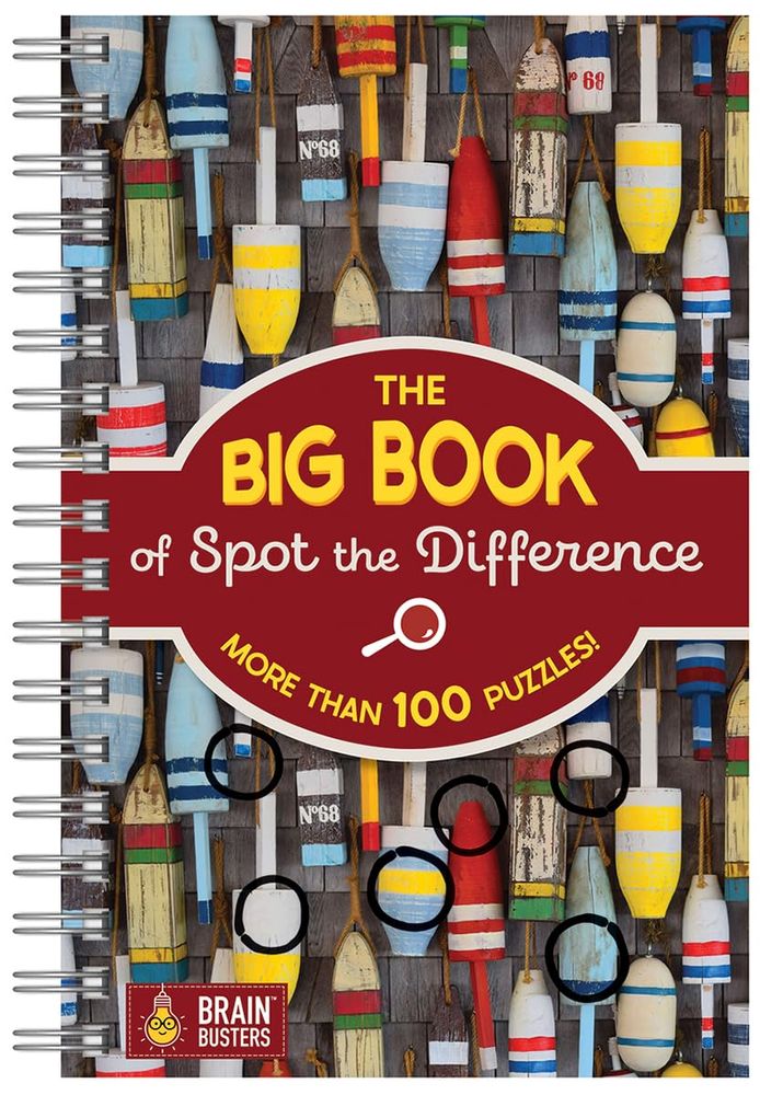 The Big Book of Spot The Difference