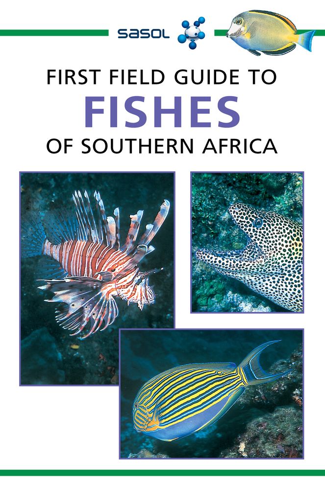 First Field Guide To Fishes Of Southern Africa (Paperback)