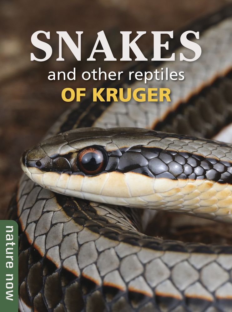 Snakes & other Reptiles of Kruger (Paperback)