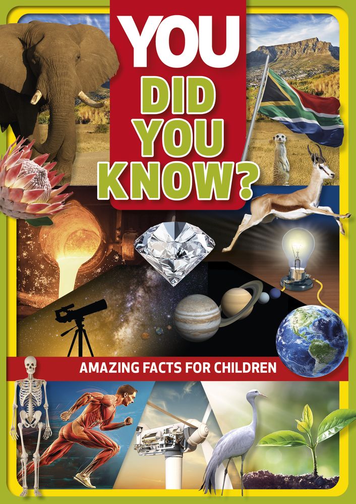 YOU: Did You Know? (Paperback)