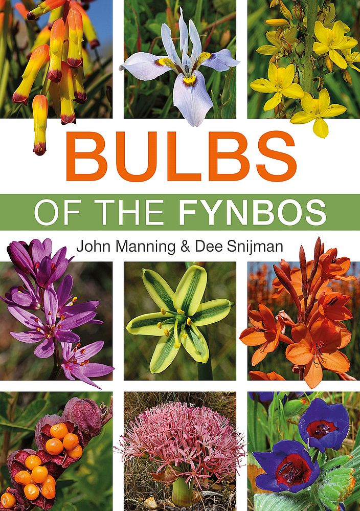 Bulbs of the Fynbos (Paperback)