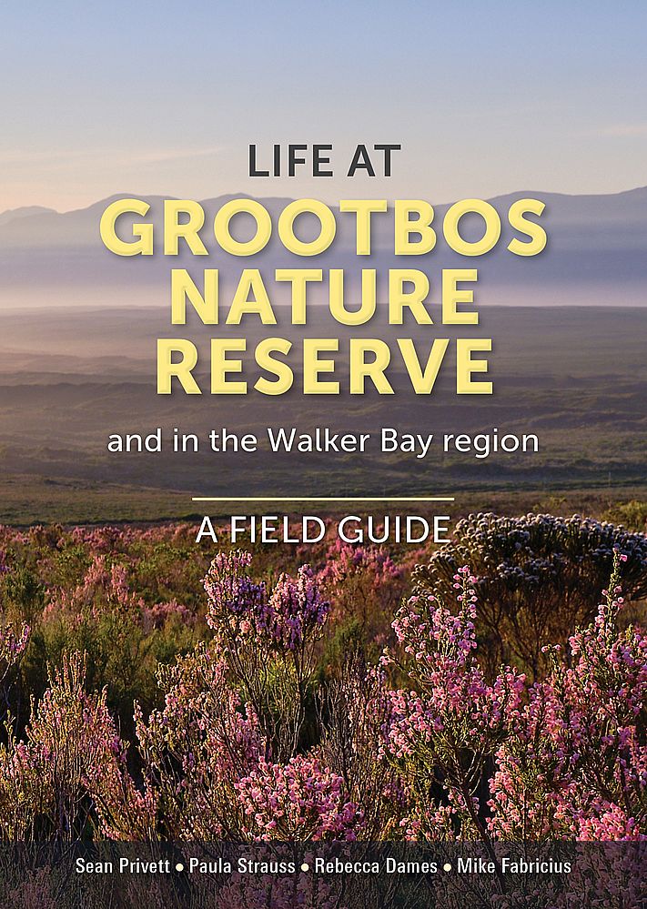 Life At The Grootbos Nature Reserve And In The Walker Bay Region: A Field Guide (Paperback)