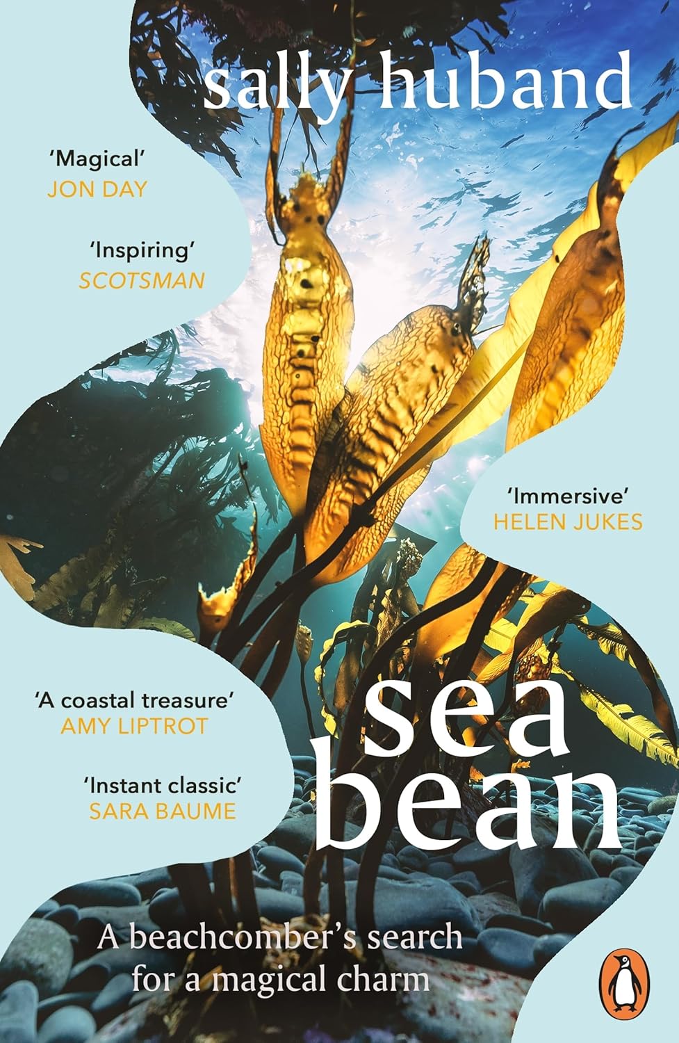 Sea Bean (Paperback)