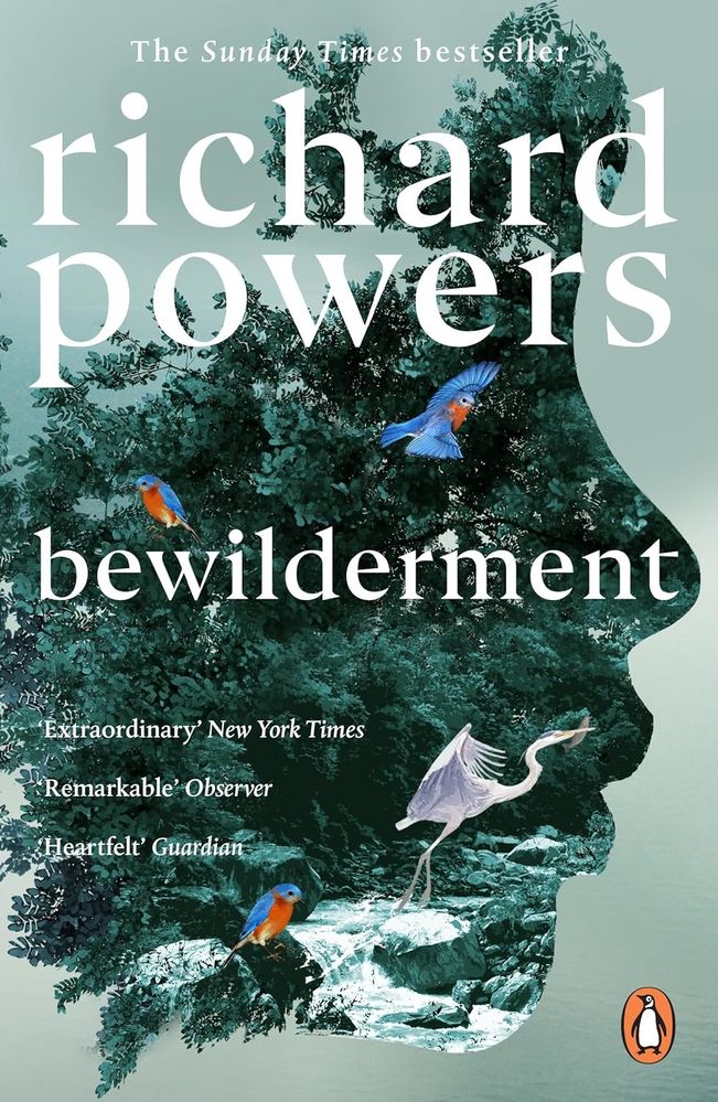 Bewilderment (Paperback)