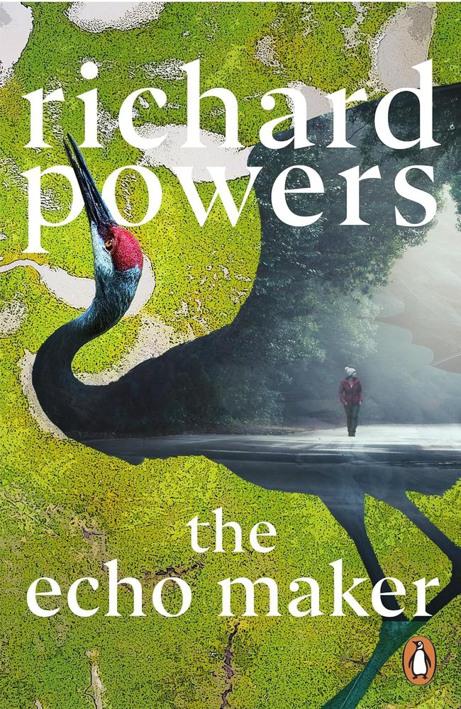 The Echo Maker (Paperback)
