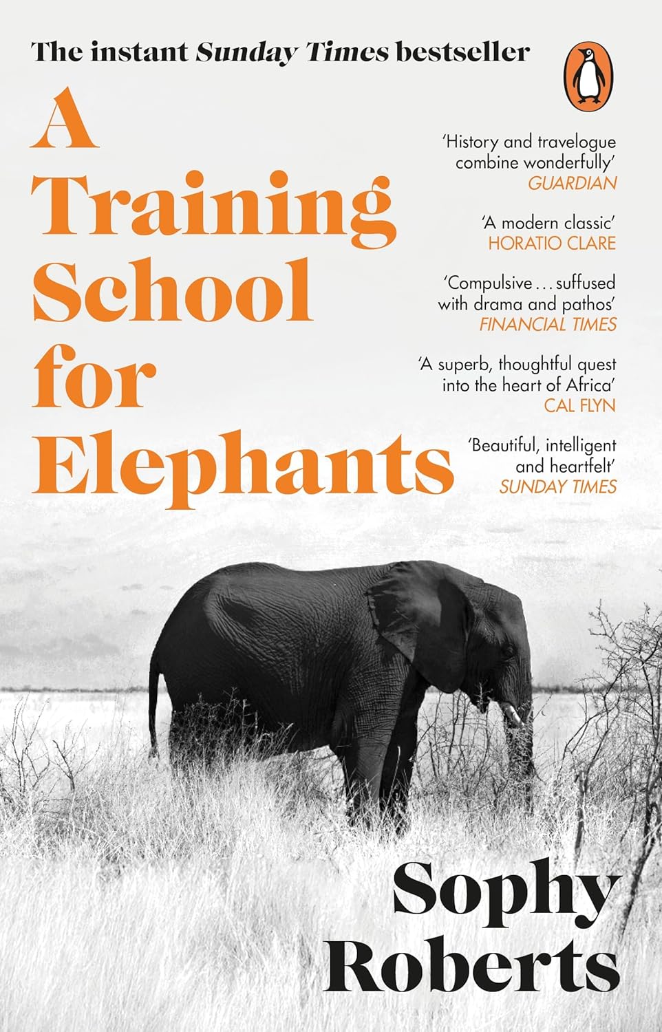 Training School For Elephants (Paperback)