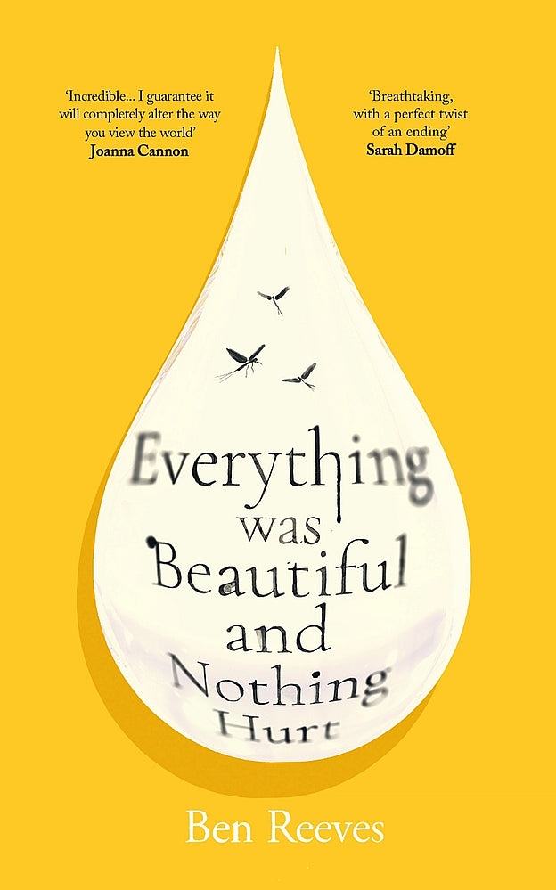 Everything was Beautiful and Nothing Hurt (Trade Paperback)