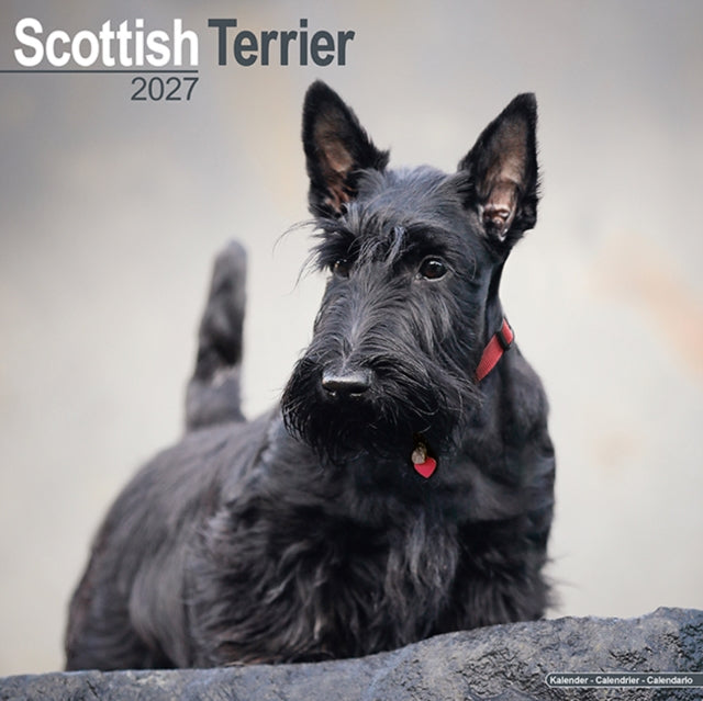 2027 Scottish Terrier Calendar