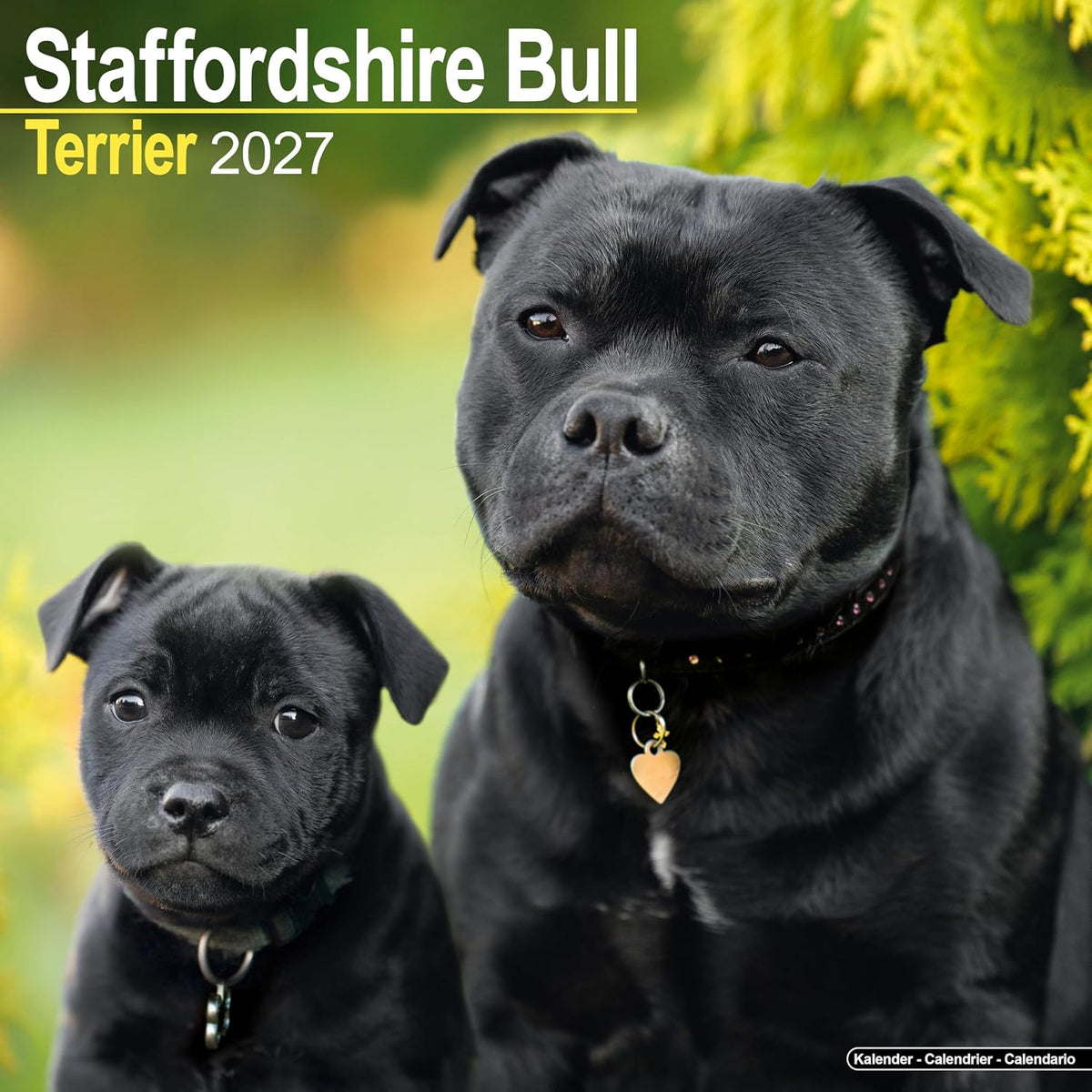 2027 Staffordshire Bull Terrier Calendar