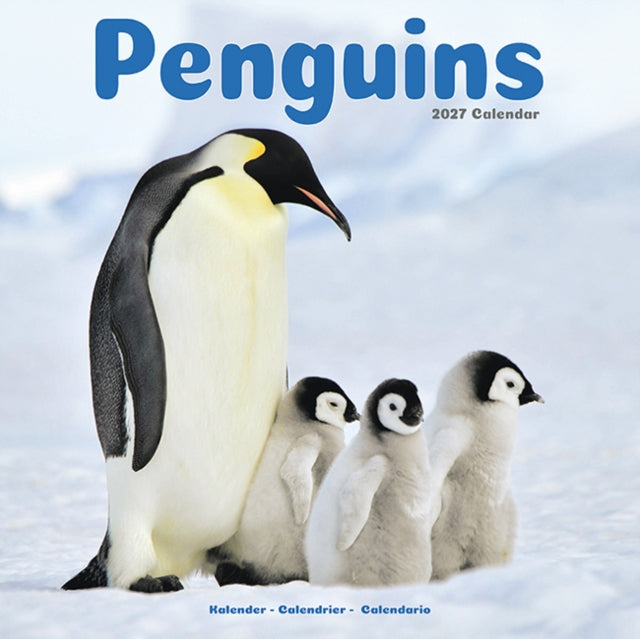 2027 Penguins Calendar
