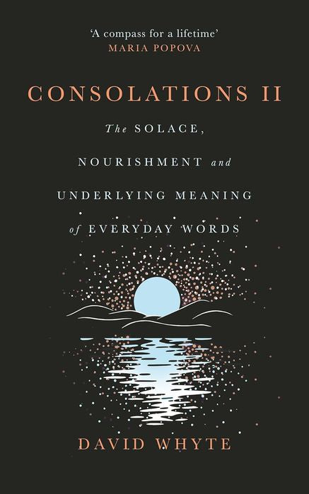 Consolations II: The Solace, Nourishment and Underlying Meaning of Everyday Words (Hardcover)