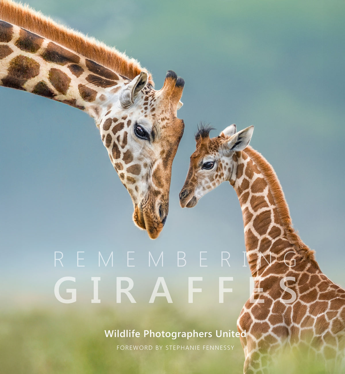 Remembering Giraffes