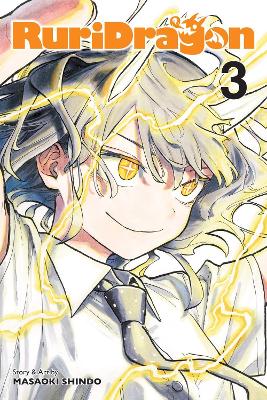 RuriDragon Vol 3 (Paperback)