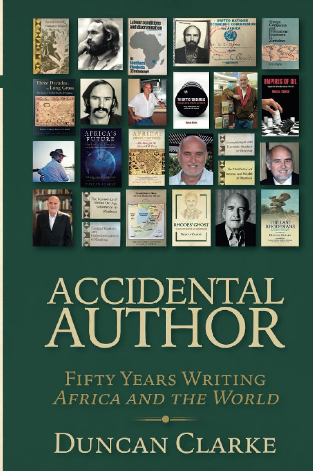Accidental Author (Paperback)