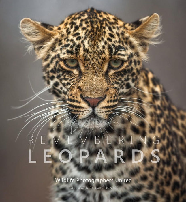 Remembering Wildlife 8: Remembering Leopards (Hardcover)