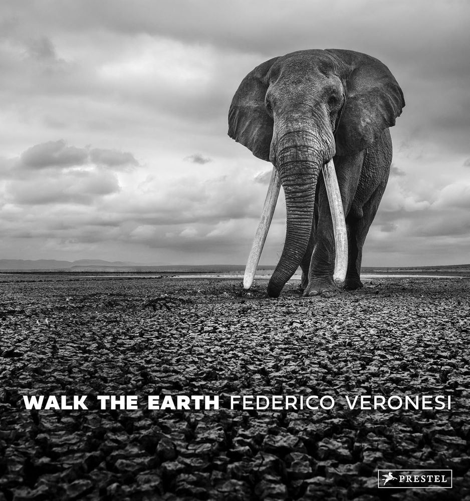 Walk the Earth: Photographs of Africa's Last Great Elephants (Hardcover)
