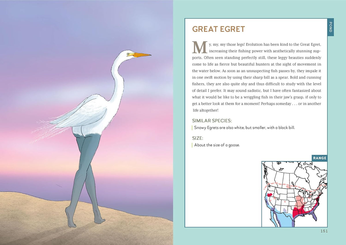 Extremely Accurate Birds (Hardcover)