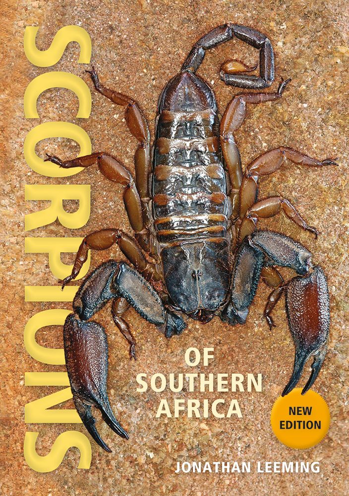 Scorpions of Southern Africa (Paperback)