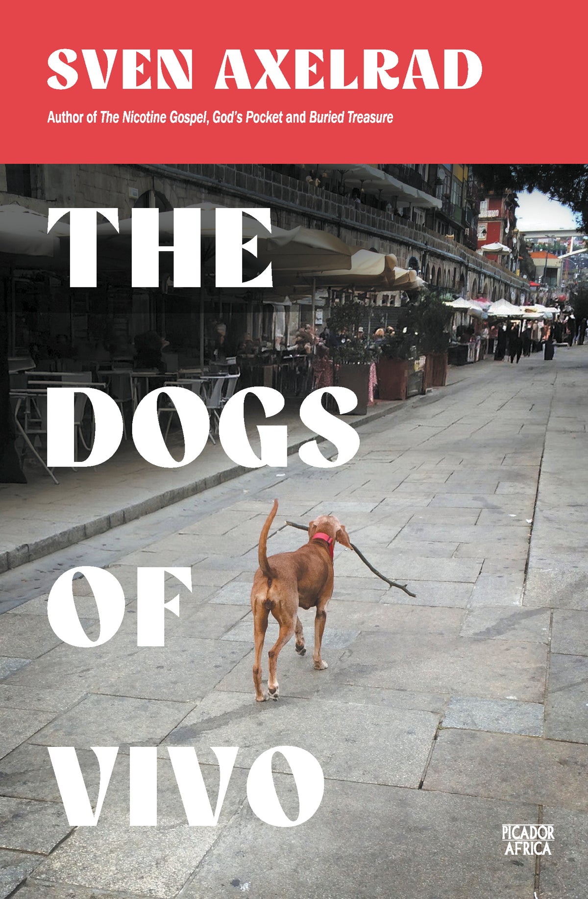 The Dogs Of Vivo (Paperback)
