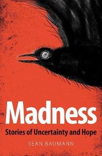 Madness: Stories of Uncertainty and Hope (Paperback)